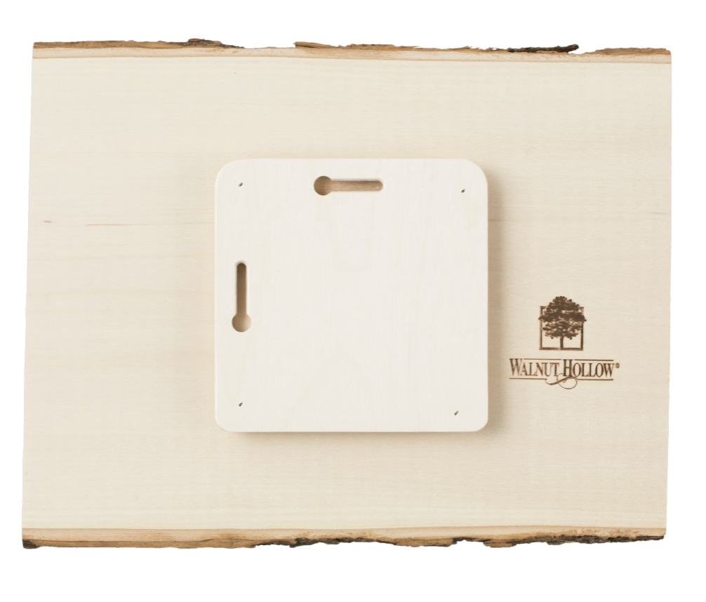 Bird on Wood 11"x12"